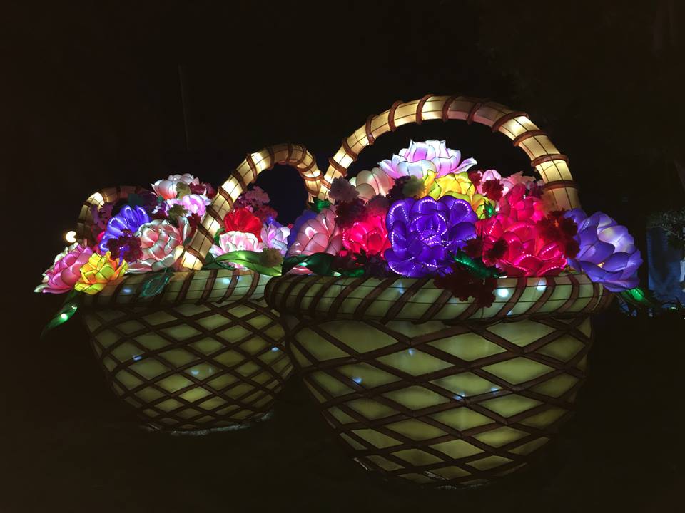 12417649_1062789357095614_9206792473806276539_n