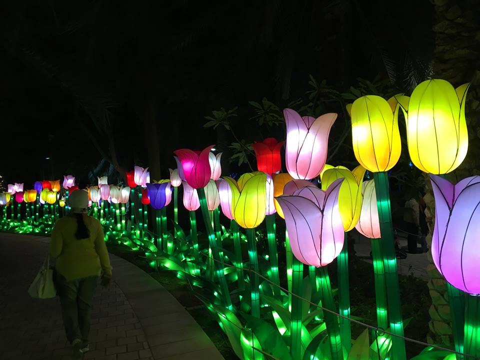 12592496_1062770703764146_4236971951103963343_n