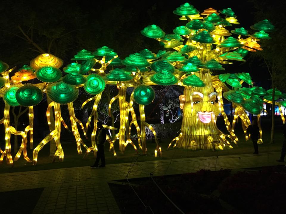 12670854_1063347247039825_9111248404258900493_n